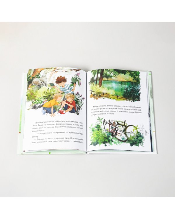 Волшебные камни Бааса