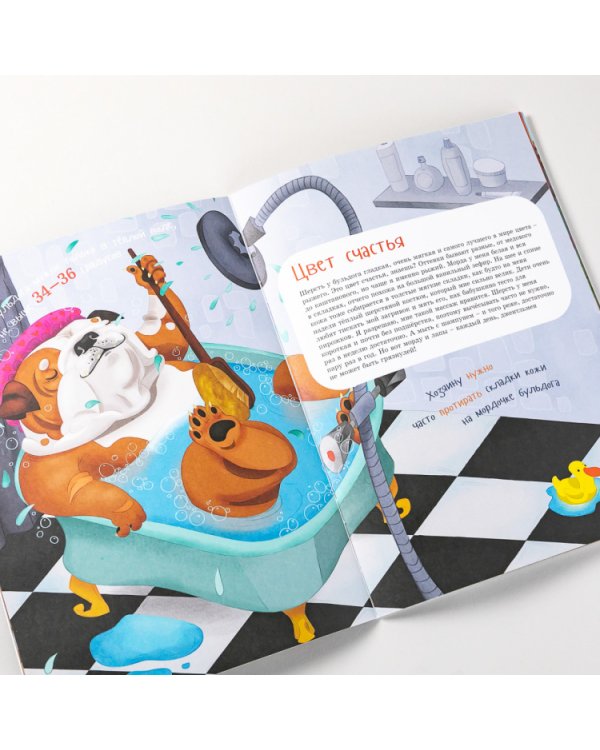 Я английский бульдог