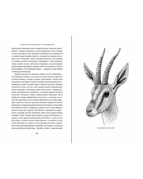 Усоногий рак Чарльза Дарвина и паук Дэвида Боуи.Как науч.назв.воспевают героев,авантюр.и негодяе