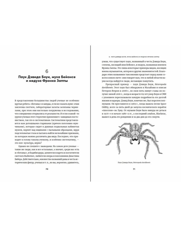 Усоногий рак Чарльза Дарвина и паук Дэвида Боуи.Как науч.назв.воспевают героев,авантюр.и негодяе