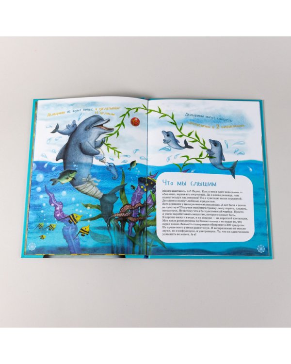 Я дельфин. (книга с раскрасками)