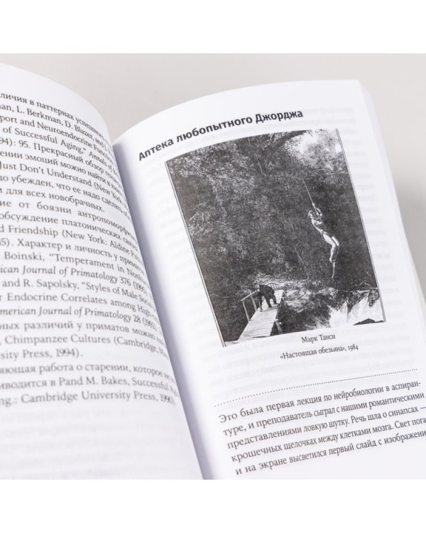 Игры тестостерона. и другие вопросы биологии поведения