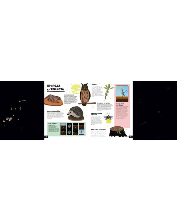 Большая книга темноты