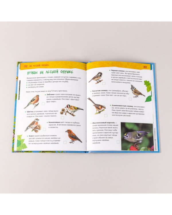 Энциклопедия для детского сада. Животные, птицы, растения