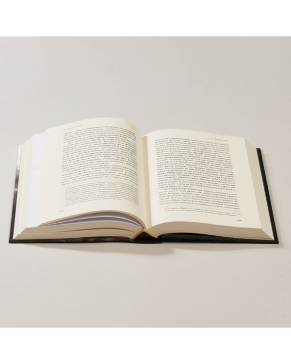 В погоне за светом. О жизни и работе над фильмами «Взвод», «Полуночный экспресс», «Лицо со шрамом», «Сальвадор»