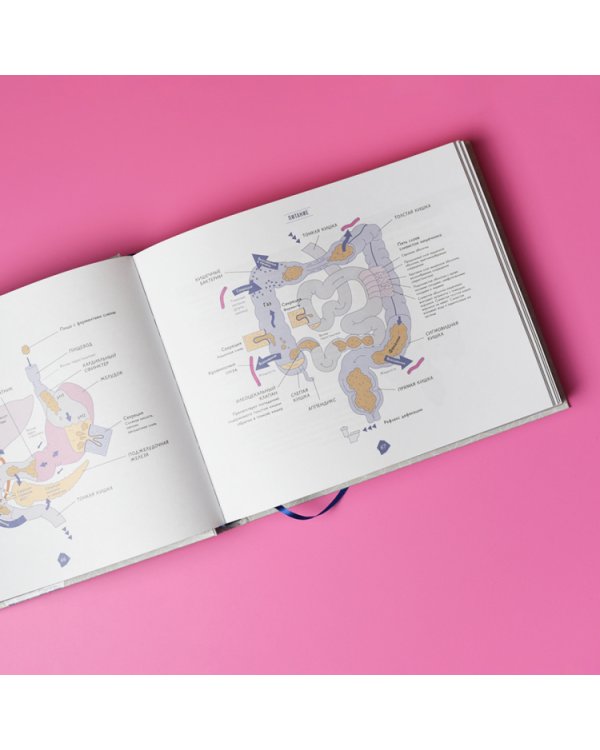 Биохакинг. Руководство по полному раскрытию потенциала организма