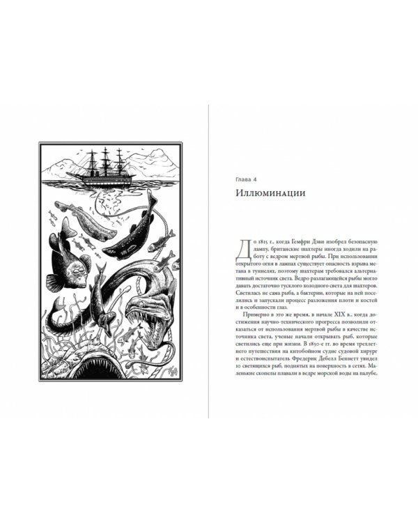 О чем молчат рыбы. Путеводитель по жизни морских обитателей