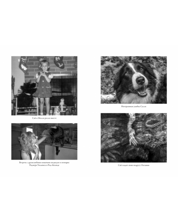Те, кто делает нас лучше. 13 животных, которые помогли мне понять жизнь