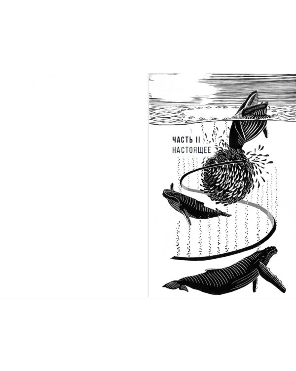 Наблюдая за китами. Прошлое, настоящее и будущее загадочных гигантов