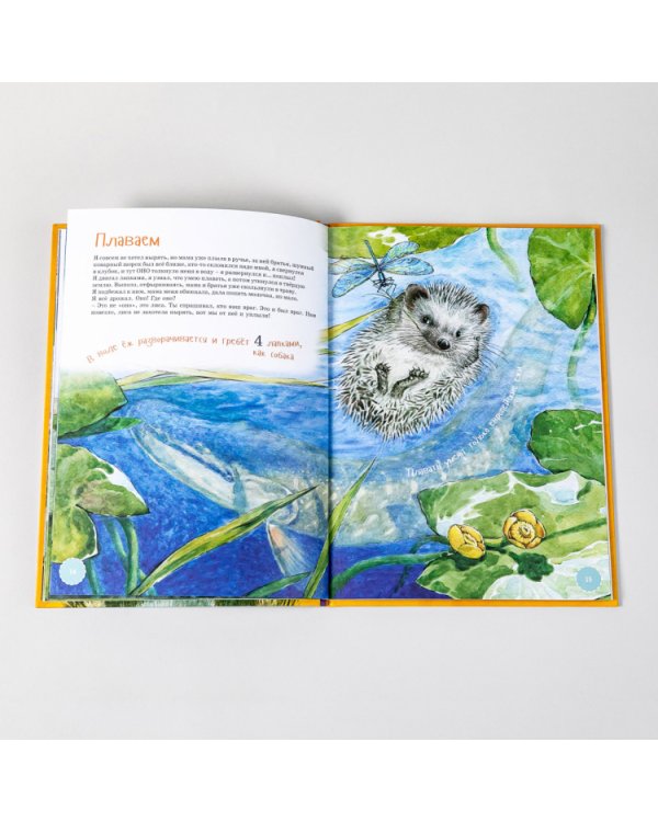 Я Ёж (в илл.Пипченко Л.)(раскраска внутри)