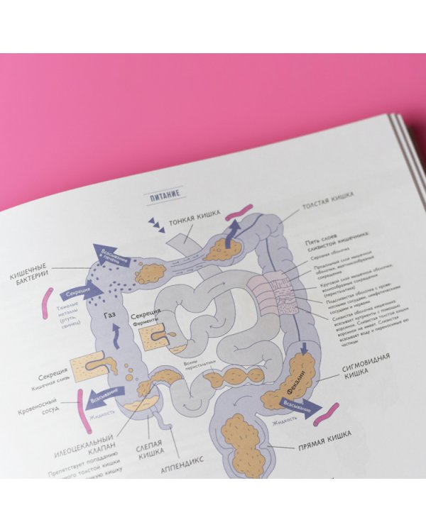 Биохакинг. Руководство по полному раскрытию потенциала организма