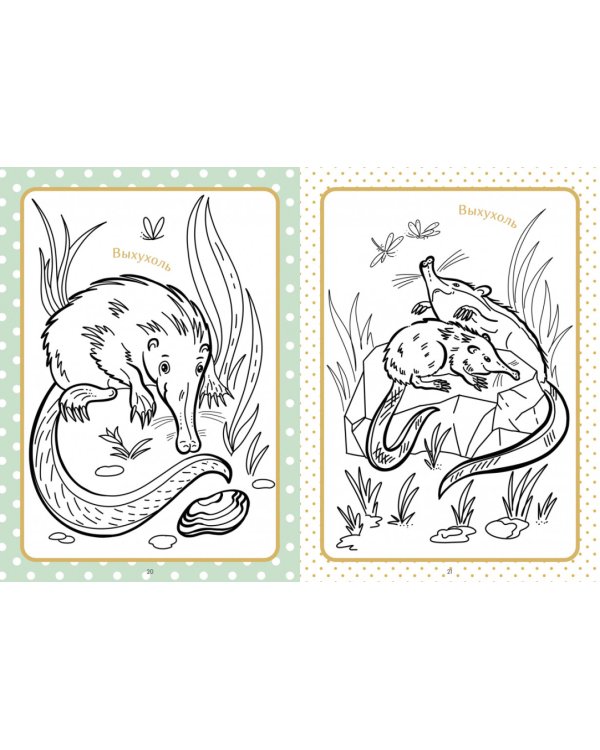 Занимательная зоология. Большая книга раскрасок, лабиринтов и головоломок