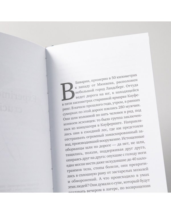 О смысле жизни