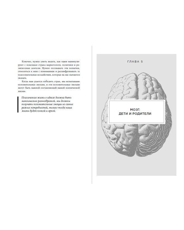 Мозг и его потребности от питания до признания