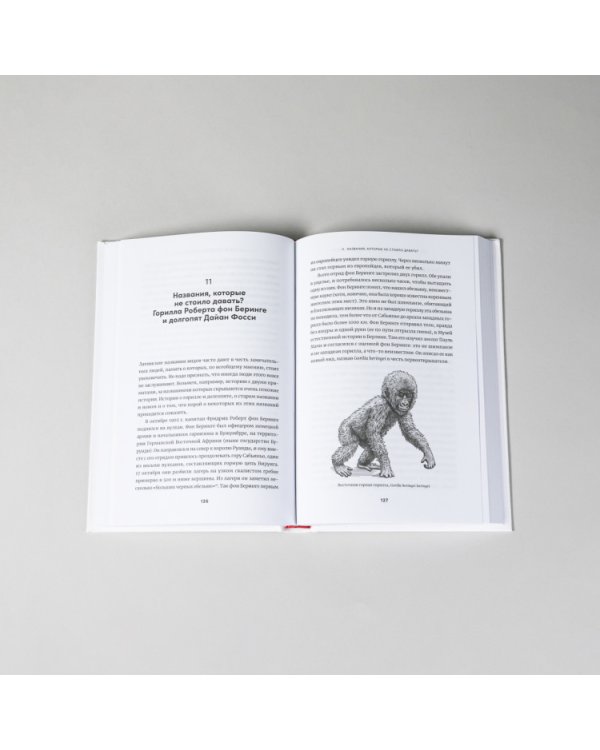 Усоногий рак Чарльза Дарвина и паук Дэвида Боуи.Как науч.назв.воспевают героев,авантюр.и негодяе