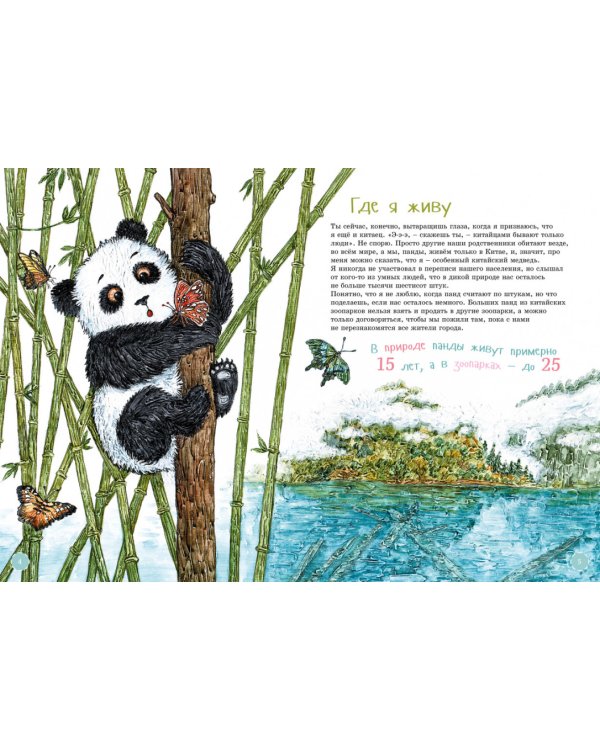 Я большая панда. (книга с раскрасками)