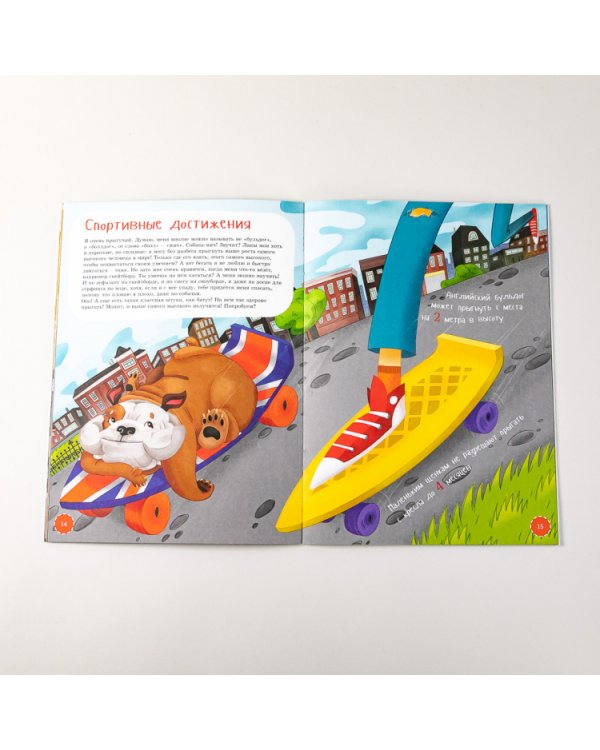 Я английский бульдог