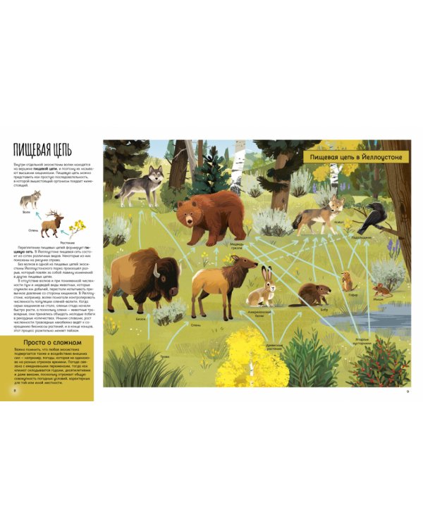 Вернуть Волков. Как хищники восстановили баланс экосистемы