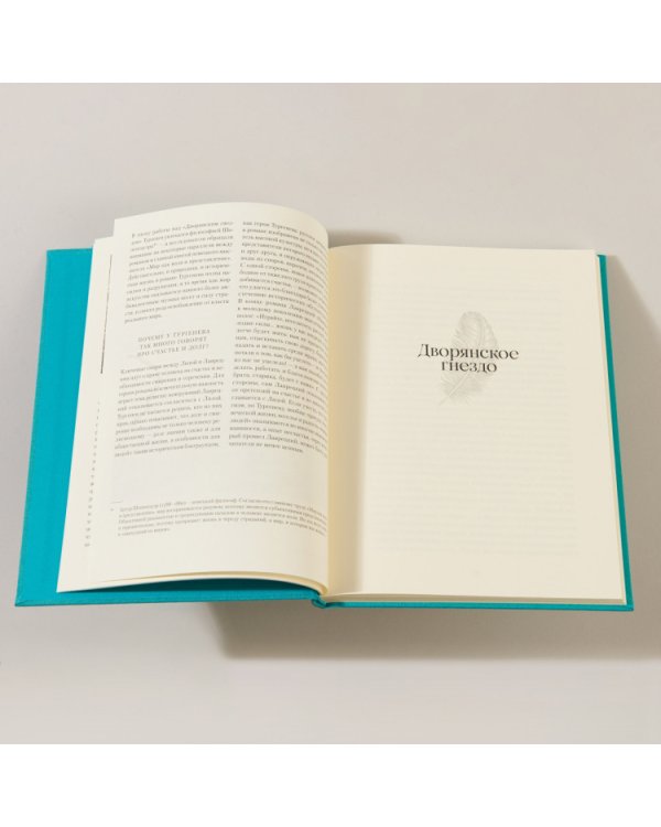 Дворянское гнездо