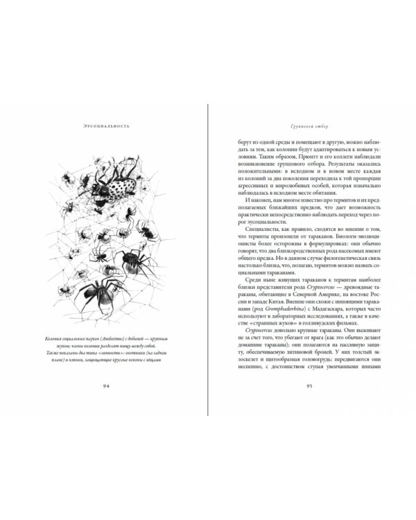 Эусоциальность. Люди, муравьи, голые землекопы и другие общественные животные