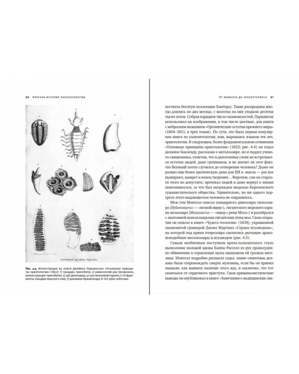 Похождения видов.Вампироноги,паукохвосты и другие переходные формы в эволюции животных