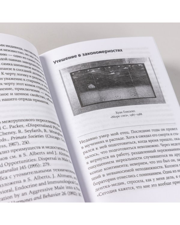 Игры тестостерона. и другие вопросы биологии поведения