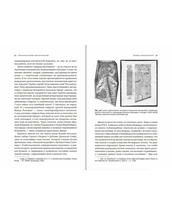 Похождения видов.Вампироноги,паукохвосты и другие переходные формы в эволюции животных