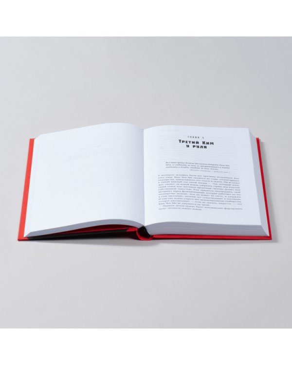 Великий Преемник:Божественно совершенная судьба выдающегося товарища Ким Чен Ына