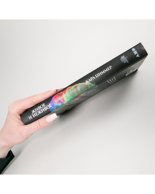 Живое и неживое. В поисках определения жизни