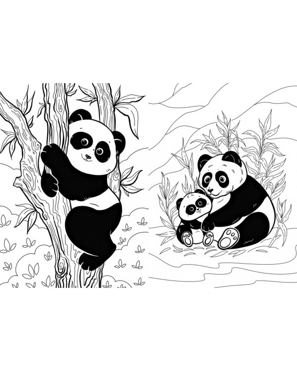 Я большая панда. (книга с раскрасками)