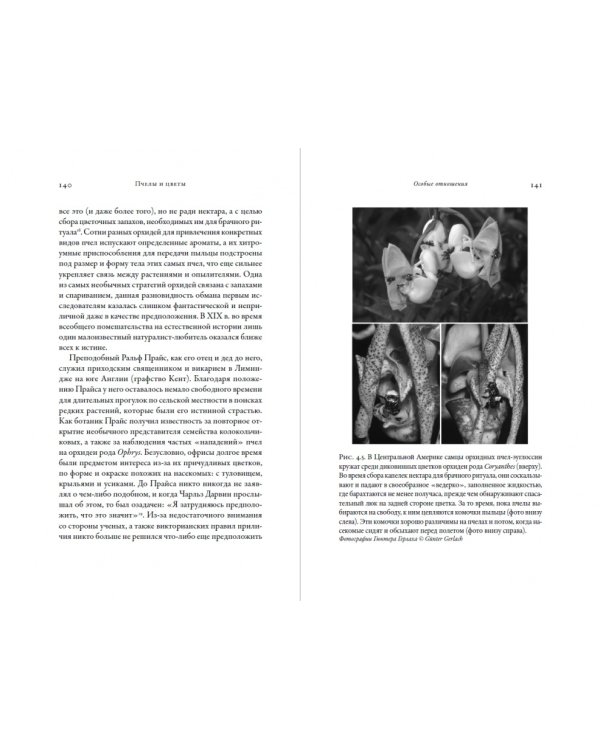 Жужжащие.Естественная история пчел