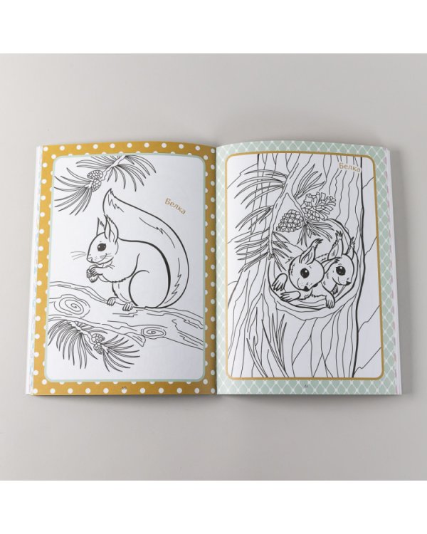 Занимательная зоология. Большая книга раскрасок, лабиринтов и головоломок