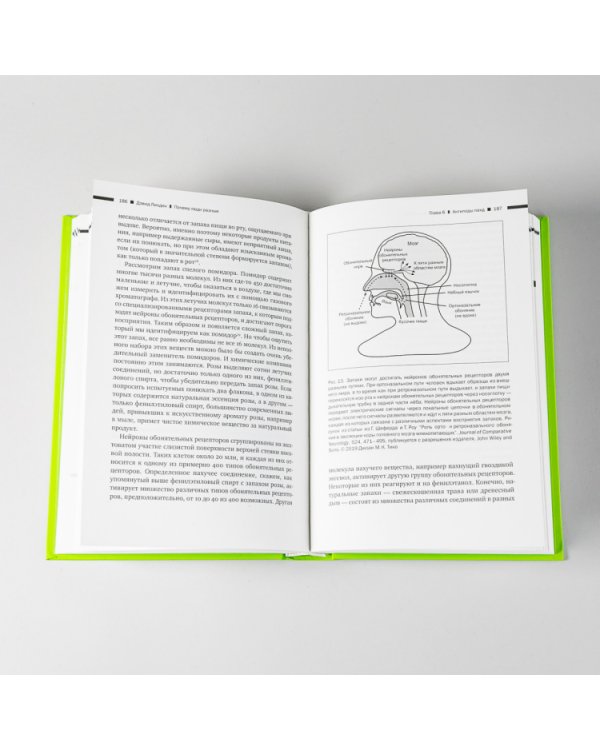 Почему люди разные. Научный взгляд на человеческую индивидуальность