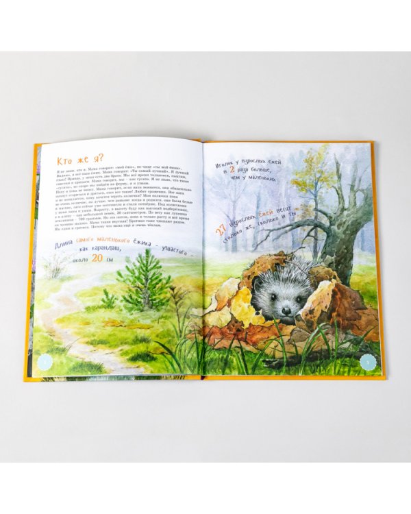 Я Ёж (в илл.Пипченко Л.)(раскраска внутри)