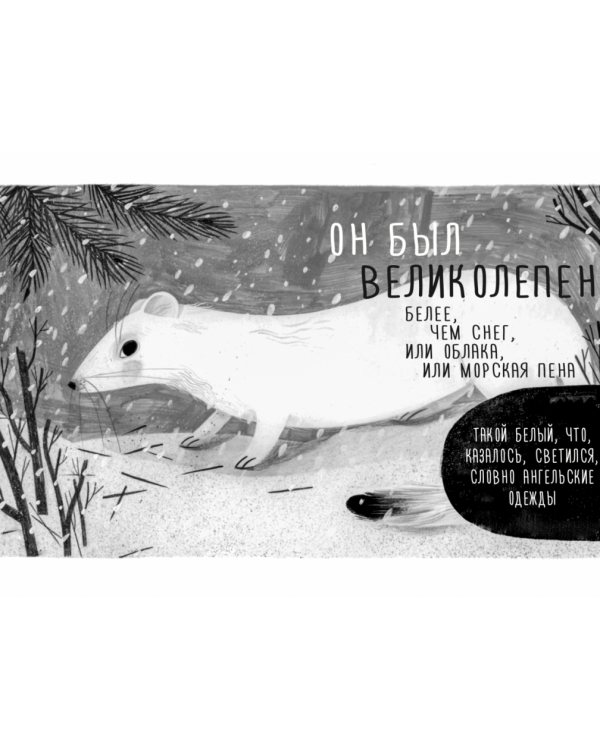 Те, кто делает нас лучше. 13 животных, которые помогли мне понять жизнь