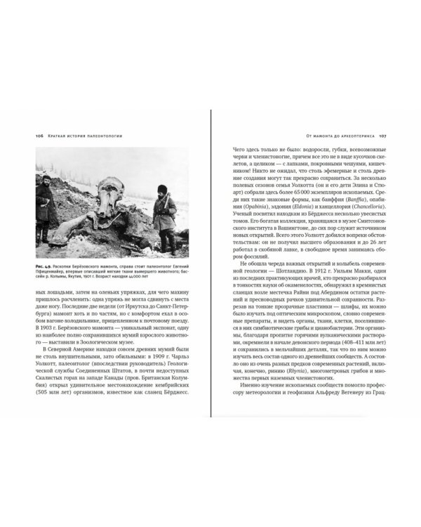 Похождения видов.Вампироноги,паукохвосты и другие переходные формы в эволюции животных