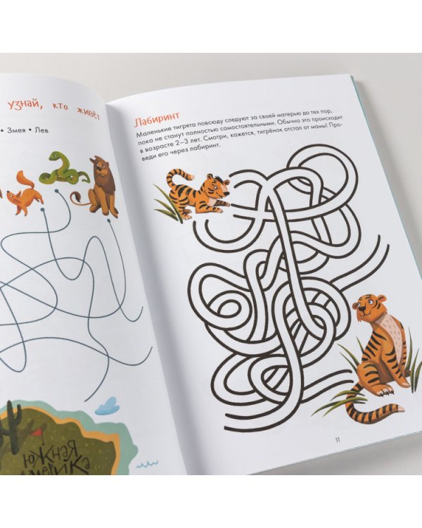 Занимательная зоология. Большая книга раскрасок, лабиринтов и головоломок