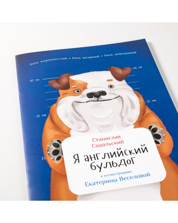 Я английский бульдог