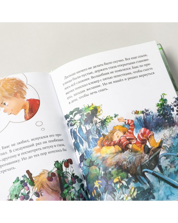 Волшебные камни Бааса