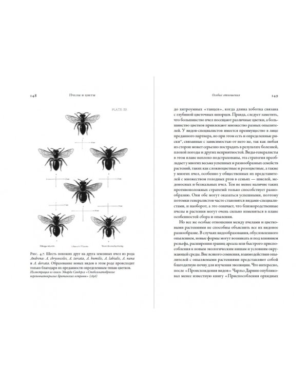 Жужжащие.Естественная история пчел