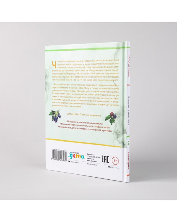 Волшебные камни Бааса