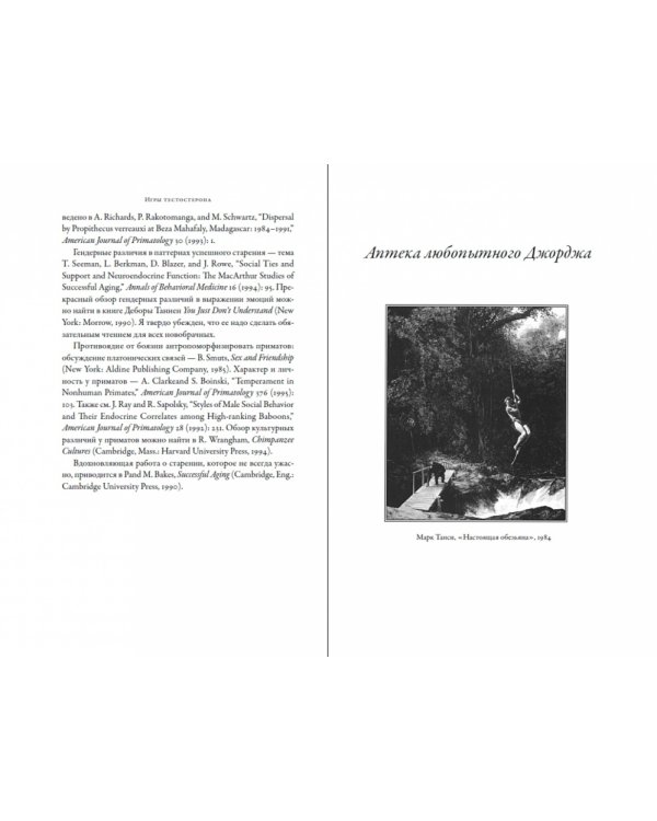 Игры тестостерона. и другие вопросы биологии поведения