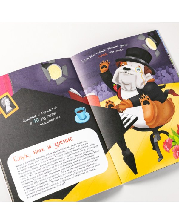 Я английский бульдог