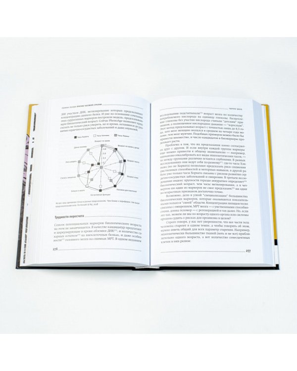 Против часовой стрелки. Что такое старение и как с ним бороться