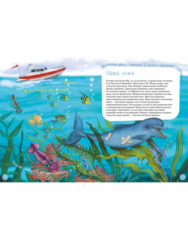 Я дельфин. (книга с раскрасками)