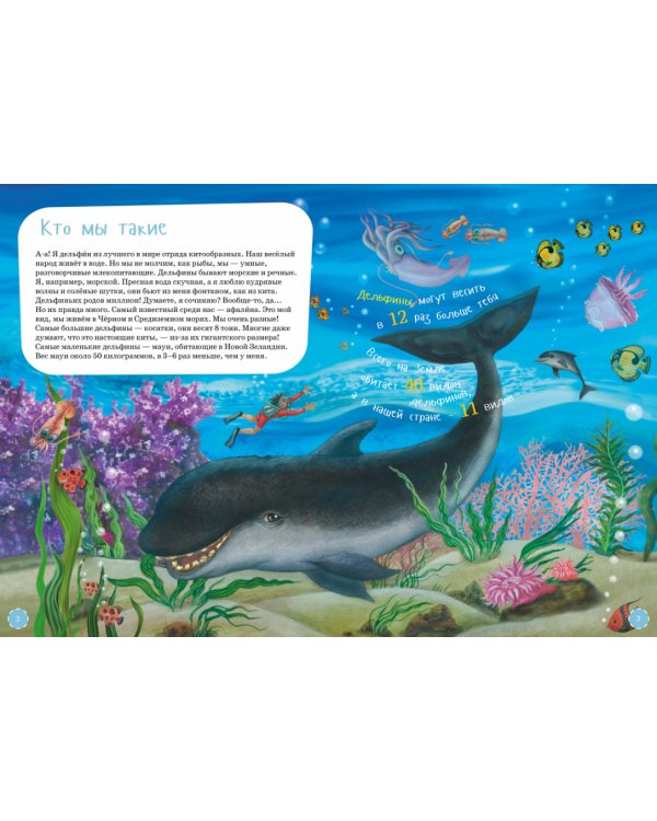 Я дельфин. (книга с раскрасками)