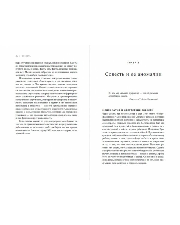 Совесть. Происхождение нравственной интуиции