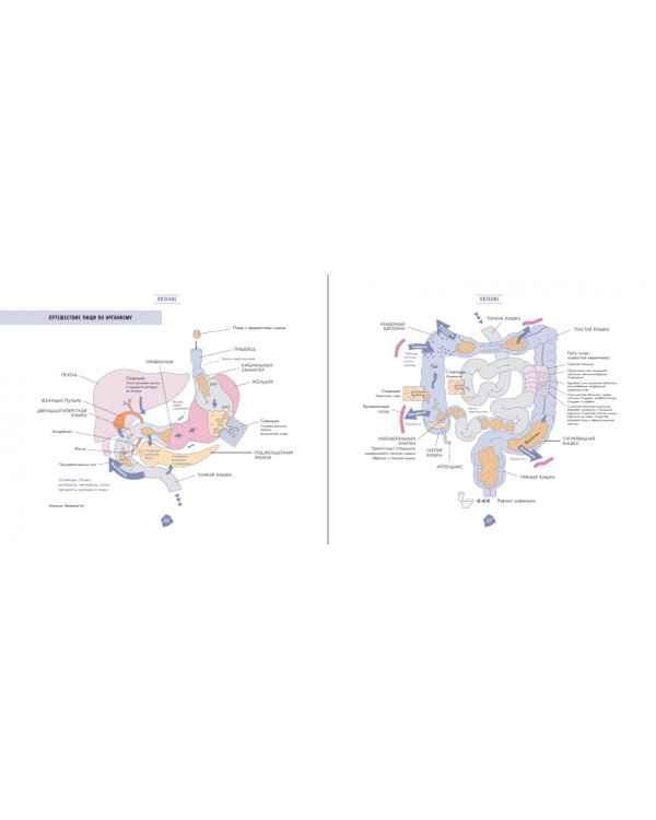 Биохакинг. Руководство по полному раскрытию потенциала организма