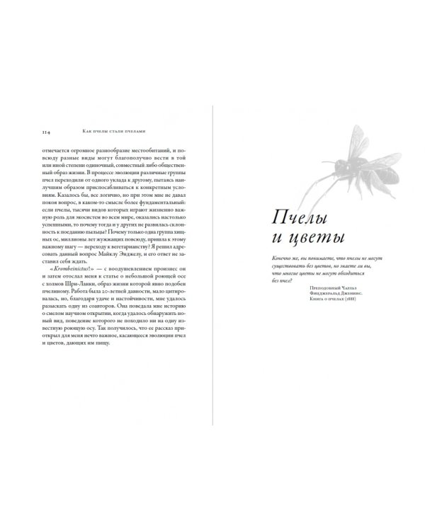 Жужжащие.Естественная история пчел