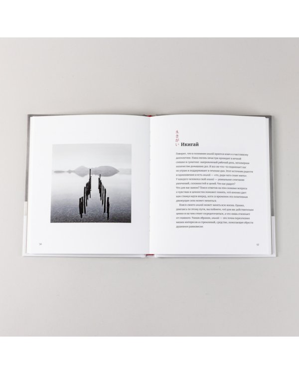 Японское искусство гармоничной жизни